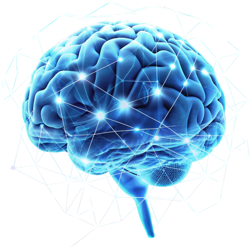 Brain health support illustration